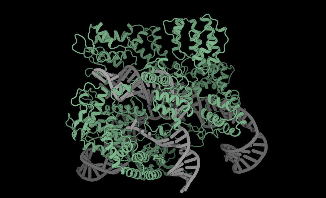 Ribbon molecular model. Illustration of OpenCRISPR-1 [Profluent]